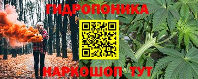 дмт Нягань