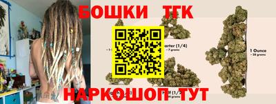 гашик Обь