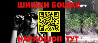 гашик Обь